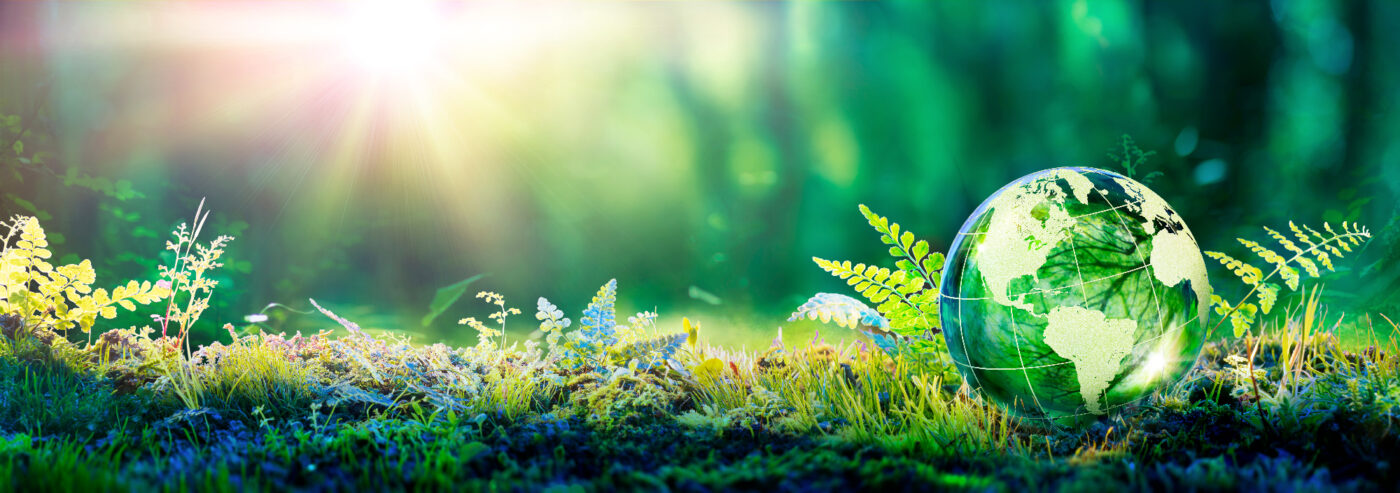 sustainability-environmental